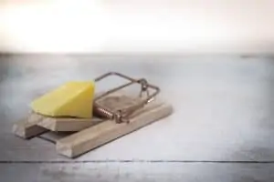 Cheese put on top of a wooden rat trap that is placed on a wooden surface