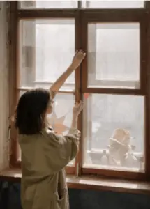 Pests That Thrive in Melbourne During Winter