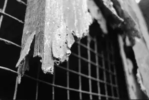 A wooden panel showing extensive termite damage.