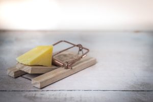 Wooden Mouse Trap with A Cheese Bait