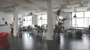 Pest-Free Office Space