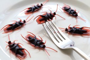Plastic Toy Roaches on The Plate with A Fork