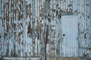 Pest Infested Old Warehouse Wall